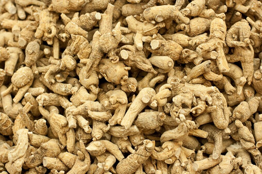 ginseng erro potentzia handitzeko